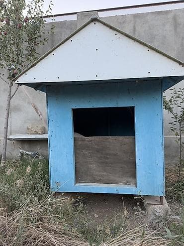 İt evi – taxta konstruksiyalı, ikitərəfli maili damlı - Material — 1