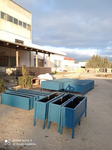 otaq bitkisi: Dibçək güldanlar. Dipçəklər bir başa sexdən.Sex qiymətinə. ♦️Endrim — 5