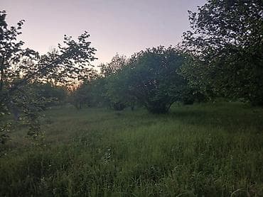 melisa parkda kiraye evler: 30 sot, Kənd təsərrüfatı — 1