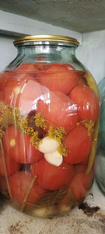 it sekili: Ev üsulu marinadlanmış pomidor – 3 litrlik banka sade 4 azn uzumburun — 2