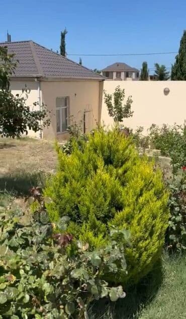 дом в баку купить: Баку, Новханы, 360 м², 6 комнат, С бассейном, Комби, Водопровод, Телефон — 28