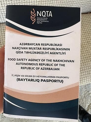 ördək növləri: ….Salam 1 yaş 4 aylıqdır dişidir ev şəraitində saxlanılıb … esger — 1