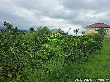 kiraye ev mingecevir: Bakı, 60 kv. m, 10 otaq, Hovuzsuz, İşıq, Su, Artezian quyusu — 6