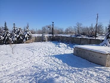 Kənd təsərrüfatı, Mülkiyyətçi, Kupça (Çıxarış)