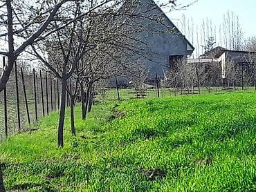 razin kiraye evler: 12 sot, Tikinti, Maklerlər narahat etməsin, Kupça (Çıxarış) — 4