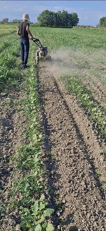 belarus 892 satilir: RAZLASMA YOLU ILE BARTER VAR HEC BIR PROBLEMI YOXDU Benzin mühərrikli — 1