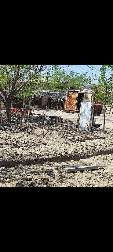 torpag: Kənd təsərrüfatı — 2