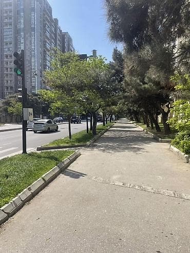 binə 117: İcarəyə obyekt – şəhərin mərkəzi küçələrindən birində, geniş piyada — 3