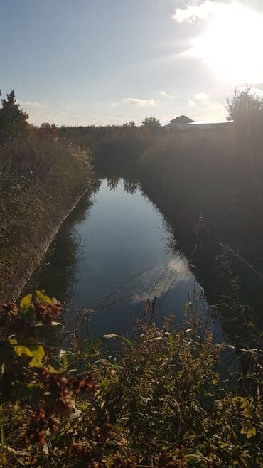 ucuz hotel: 1000 sot, Kənd təsərrüfatı, Makler, Kupça (Çıxarış) — 2