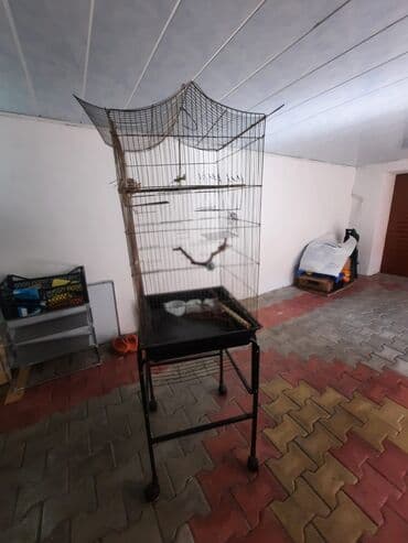 qus yuvası: Quş qəfəsələri dəsti - 1 ədəd iri, hündür qəfəs təkərli metal stend — 2