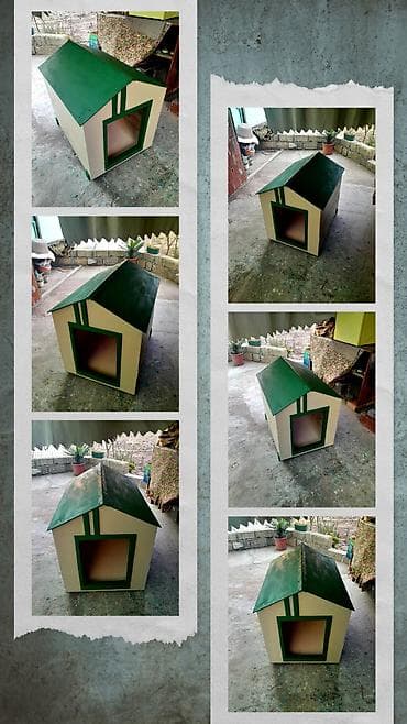 Böyük itlər üçün təmiz taxtadan . Su keçirməyənn Taksiylədə — 3