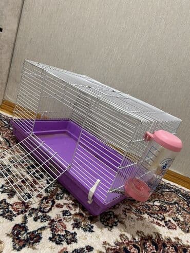 Dovşanlar: Derslerme göre baxa bilmirem satıram erkekdı 6 aylıqdı üsdünde su qabı — 3