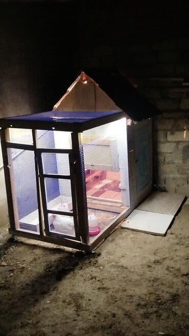 Sifarisle hazirlanır Məhsul: İşıqlı toyuq/quş damı (mini toyuq evi)