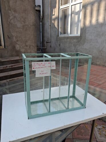 pulsuz pişik balaları: Dördbucaq akvarium, Boş, 40 l — 2