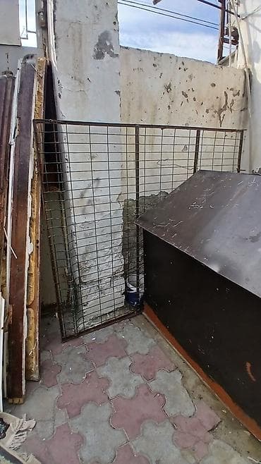 it yuvalari: Böyük ölçülü it evi - Material: möhkəm taxta karkas, üstü — 3