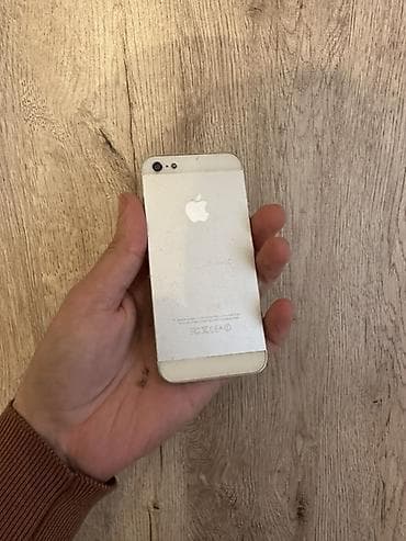 IPhone 5, Ağ
