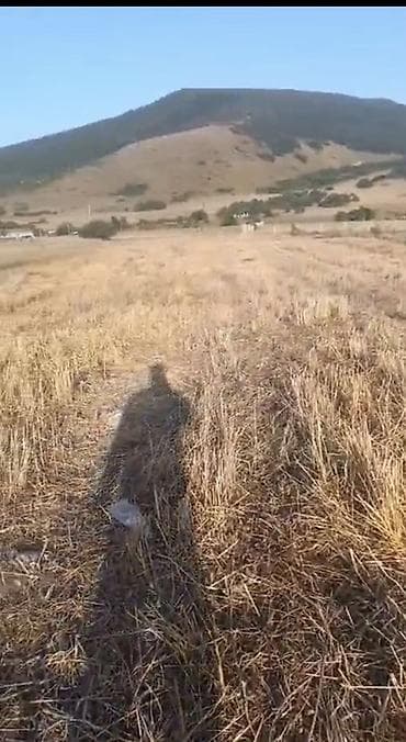 Torpaq sahələrinin satışı: 392 sot, Kənd təsərrüfatı, Kupça (Çıxarış) — 3