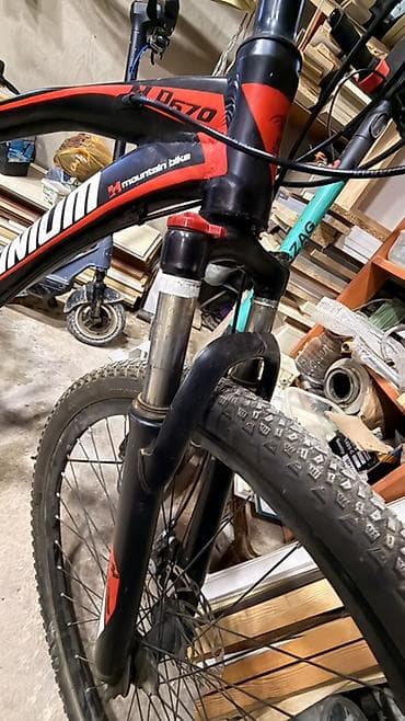 velosiped 28 satilir: PLATINUM dağ velosipedi - Çərçivə: yüngül alüminium alaşımlı, birbaşa — 7