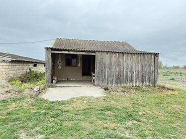 bilgeh ev: 3000 sot — 2