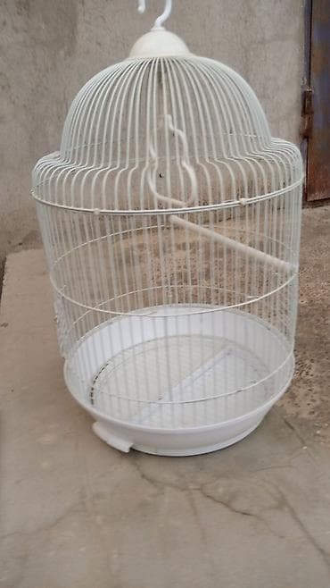 Geyimlər: Qəfəsler 25-35 azn — 1