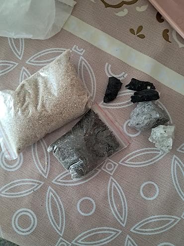 rengli quslar: Dalmatin və sarı rəngli iki dalğıç papağanla birlikdə tam dəst quş — 8