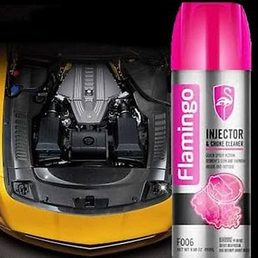 stop pests pro: Flamingo Injector & Choke Cleaner – F006 Avtomobil mühərrikinin — 1