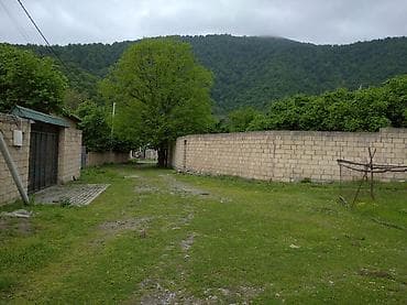 taxta evlər: 30 sot, Barter mümkündür, Kupça (Çıxarış) — 7