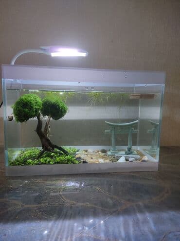 Dördbucaq akvarium, Boş, 10 l, Ünvandan götürmə