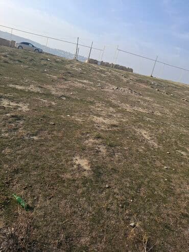 mx group inşaat: 8 sot, Tikinti, Mülkiyyətçi, Kupça (Çıxarış) — 8