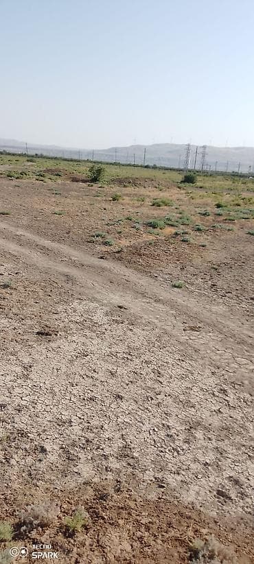 top.az.at.satışı.quba: 119 sot, Biznes üçün, Mülkiyyətçi, Kupça (Çıxarış) — 7