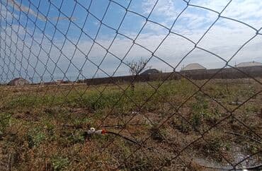 сайты недвижимости в баку: 6 sot Tikinti, Qaz, İşıq, Su — 6