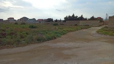 sulutəpə çiçək qəsəbəsi: 5 sot, Kənd təsərrüfatı, Kupça (Çıxarış) — 1