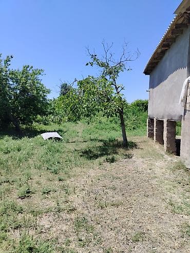 emlak alqi satqisi: 200 sot, Mülkiyyətçi, Kupça (Çıxarış) — 5