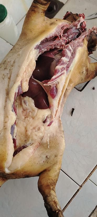 et dukani: . porsug et — 1