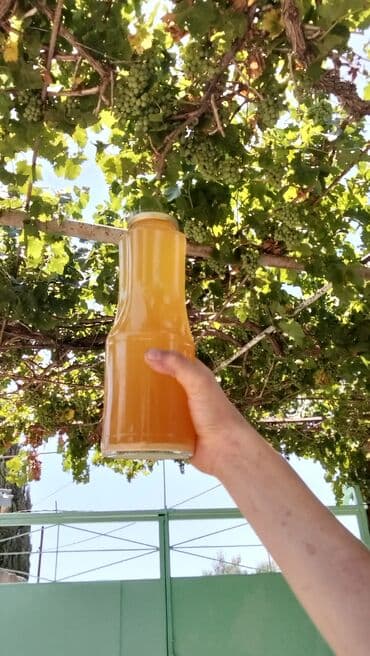 Другие продукты питания: Salam ABQORA satiram pirşağı bağlarından ABQORA premium Can dermani — 2