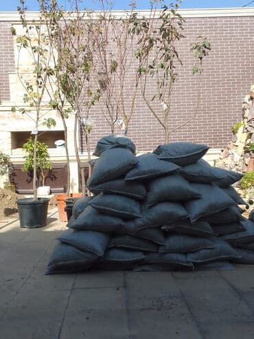 ищу работу садовник на дачу: Bağban xidməti qazon biçmək ağacların biçilməsi budanması — 7