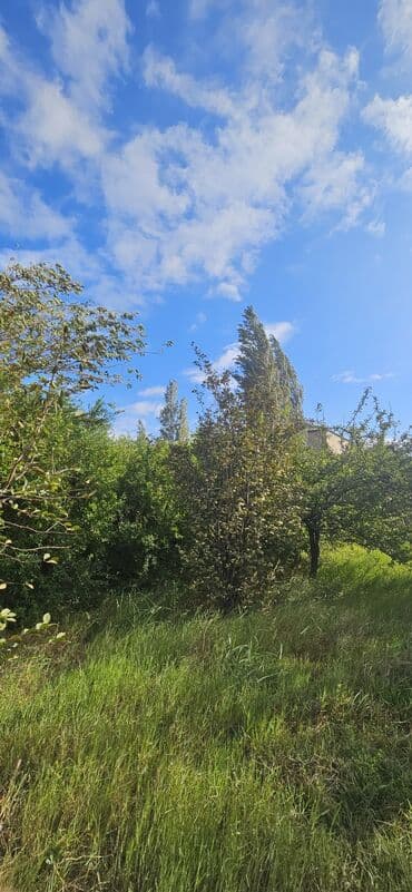 аренда продажа земельных участков: 48 sot, Kənd təsərrüfatı, Kupça (Çıxarış) — 28