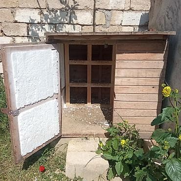 yarasa yuvası fiyatı: Kuşxana satilir 9xanasi var unvan novxani — 1