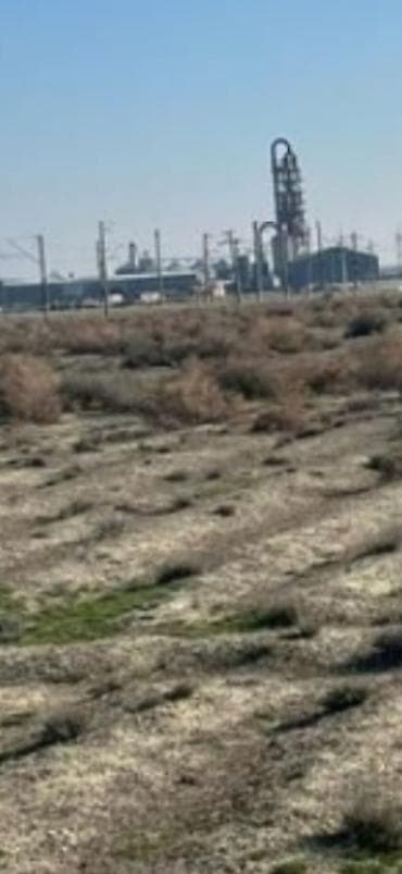 abseronda kiraye evler: 150 sot, Biznes üçün, Mülkiyyətçi, Kupça (Çıxarış) — 1