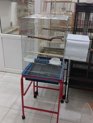 xamyak qefesi: Her novde her qiymete qefeslermiz var catrilma var metrolara rayolara — 5