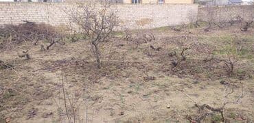 ferma torpaq: 13 sot, Tikinti, Makler, Kupça (Çıxarış) — 3