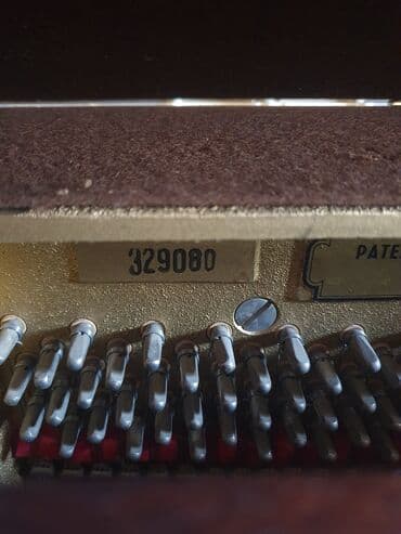 Tar: Piano, Petrof, Akustik — 4