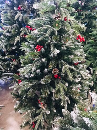 palma agaci satisi: Kremlovski yolka teze mallar 120 sm -75 man 150 sm -120 man 180 sm — 1