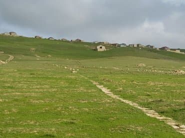 bine atcılıq: 80 sot — 5