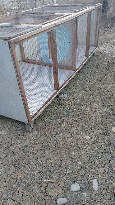 qax heyvan bazar: Salam Buyurub isteyen Elqe saxlasin Fanarkadan Hazirlanmayib Tam özune — 2