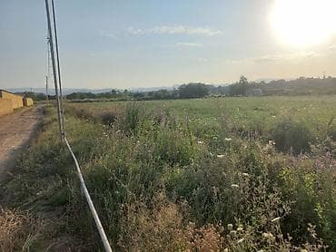 gunəşlidə: 24 sot, Tikinti, Mülkiyyətçi, Kupça (Çıxarış) — 4