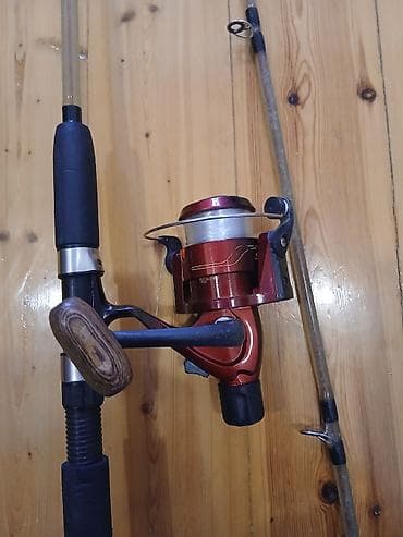 Cracadil spilnik 2.70m uzunluğunda barabanla biryerde esil agır balıq — 2