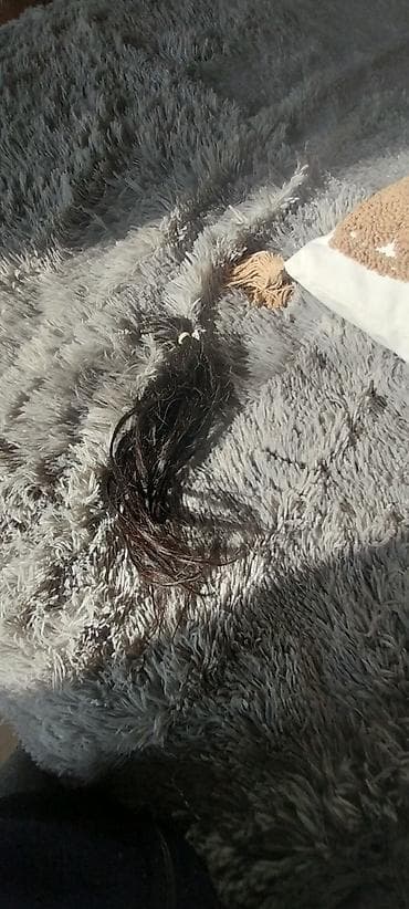 sazz online odenis: Saclar — 1