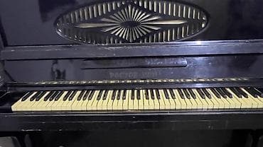 gitara ucun pedal: Piano, Rostov-Don, Akustik — 3