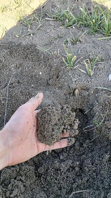 купить землю в баку: 100 соток, Для сельского хозяйства, Собственник, Купчая — 5